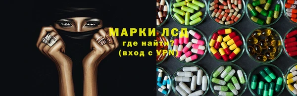 прущие грибы Баксан